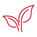 Biogas Upgrading Equipment